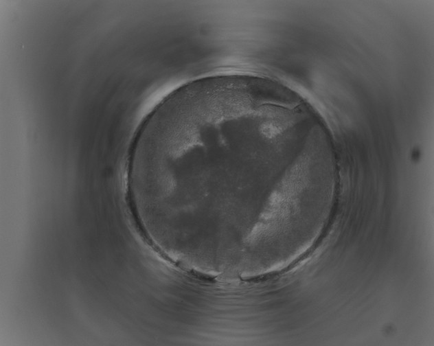 X0000094811415200711241435