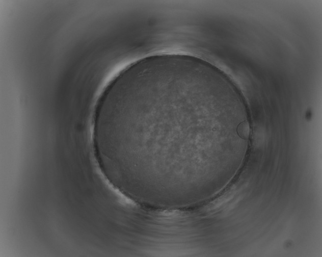 X0000094811416200711241435