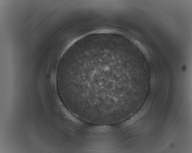 X0000094811417200711241435