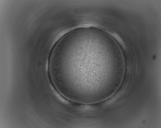 X0000094811420200711241436