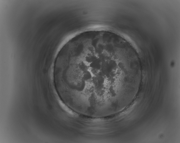 X0000094811421200711241436