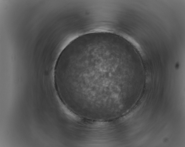 X0000094811423200711241436