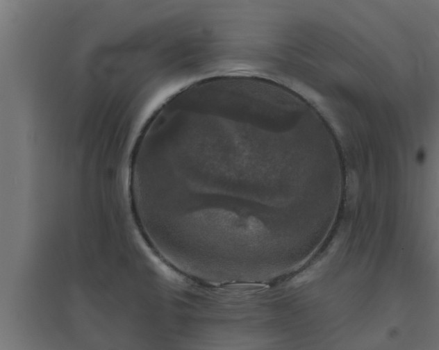 X0000094811424200711241436