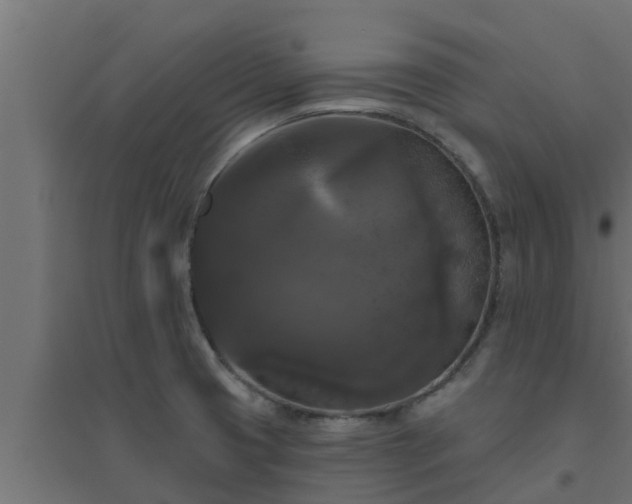 X0000094811425200711241436