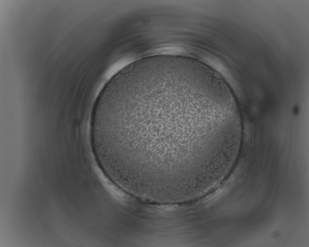 X0000094811426200711241436