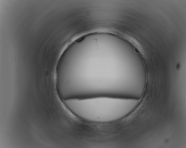 X0000094811428200711241436