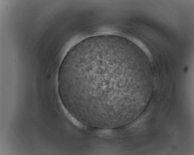 X0000094811431200711241436