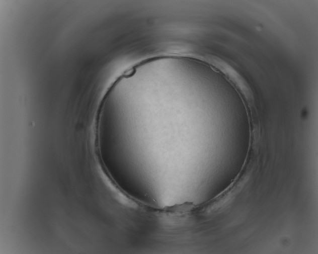 X0000094811432200711241436