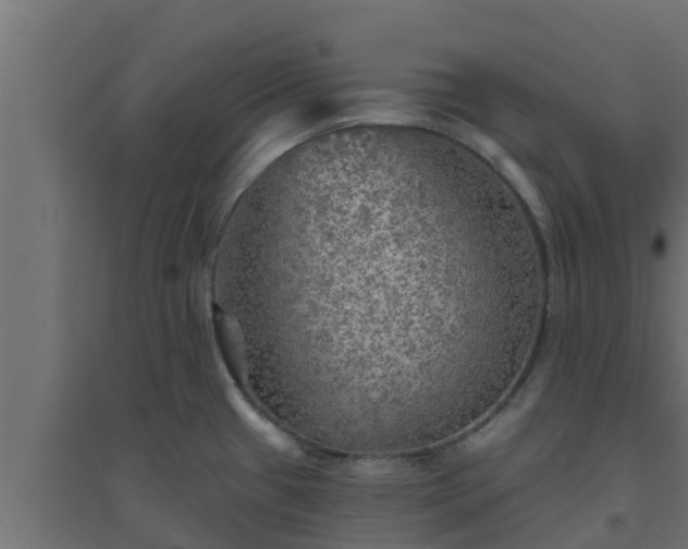 X0000094811433200711241436