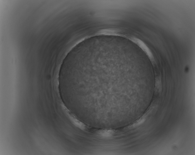 X0000094811435200711241436