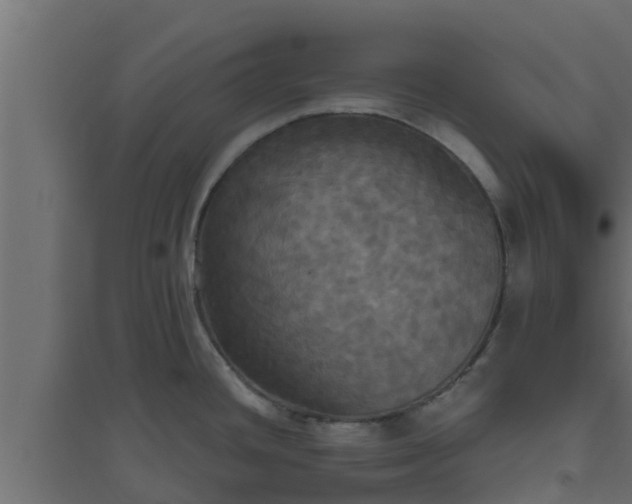 X0000094811436200711241436