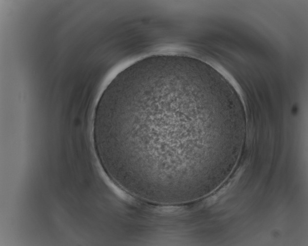 X0000094811437200711241436