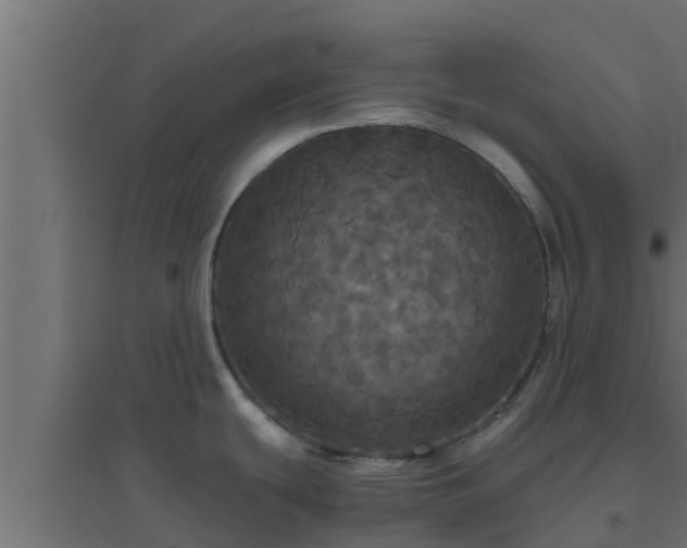 X0000094811439200711241436