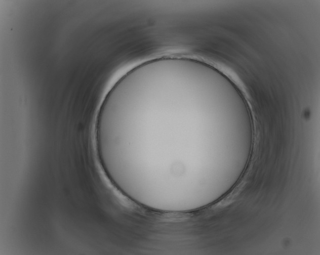 X0000094811440200711241436