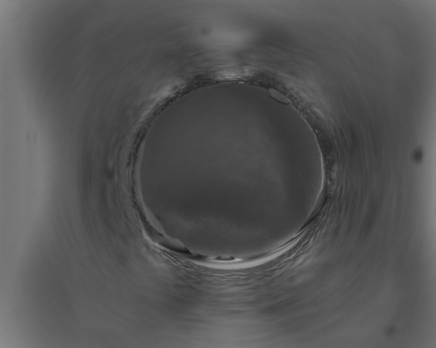 X0000094811441200711241435