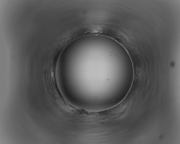 X0000094811442200711241435