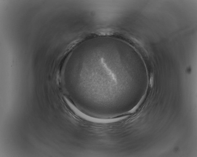 X0000094811444200711241435