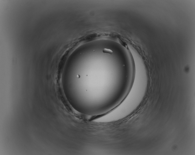 X0000094811445200711241435