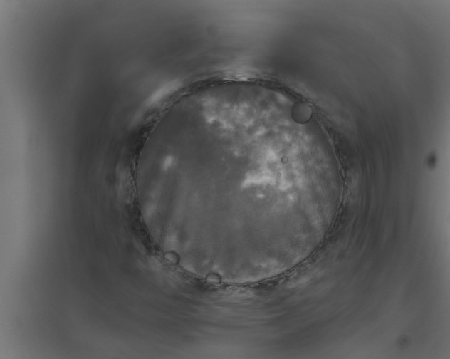 X0000094811446200711241435