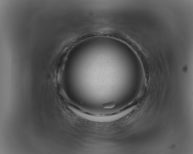 X0000094811447200711241435