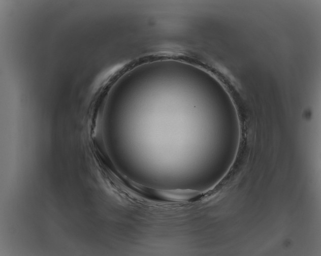 X0000094811448200711241435