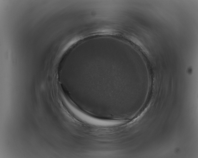 X0000094811450200711241435