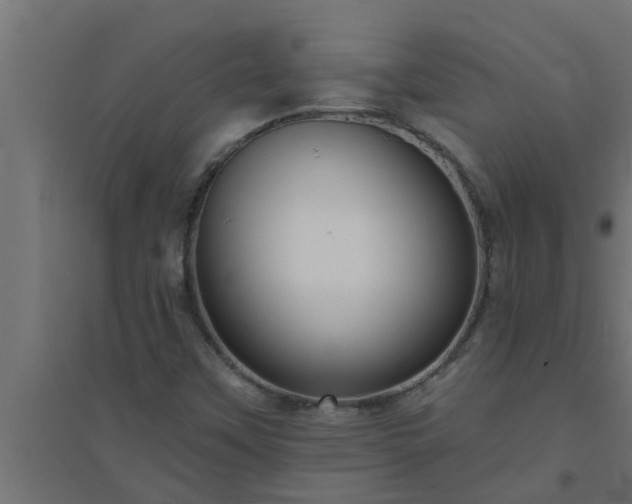 X0000094811451200711241435