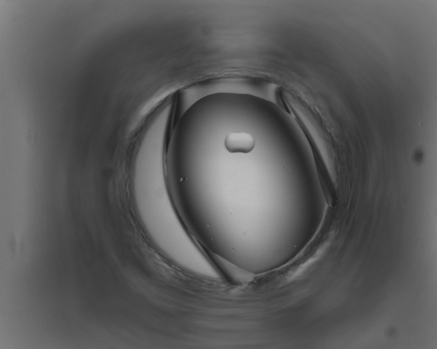 X0000094811453200711241435