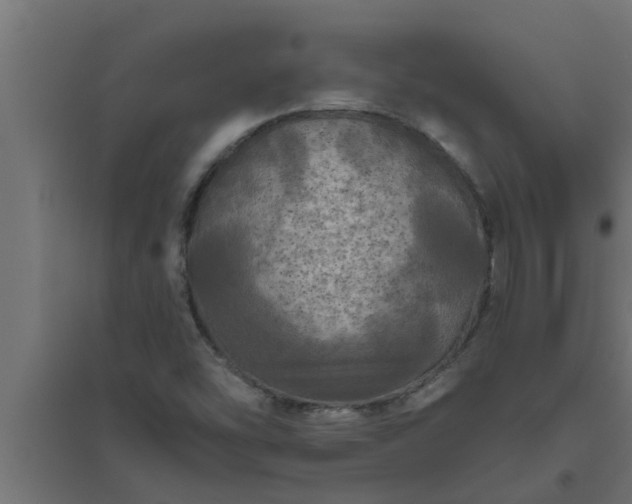 X0000094811454200711241435