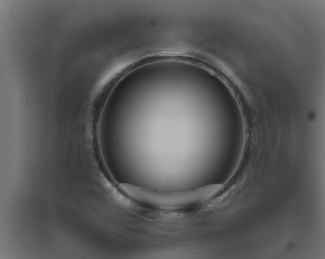 X0000094811456200711241435