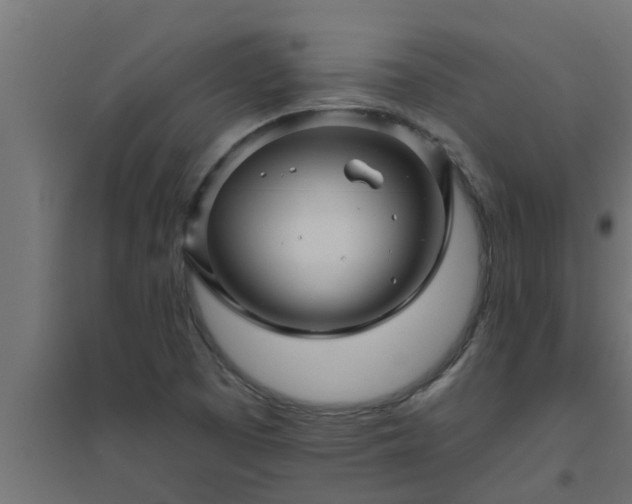 X0000094811457200711241435