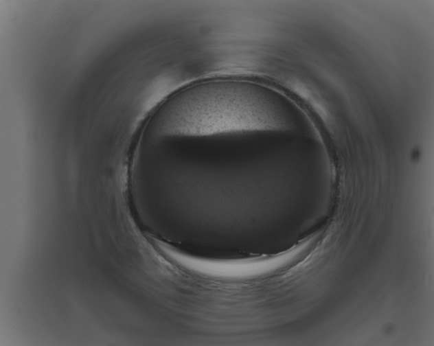 X0000094811459200711241435