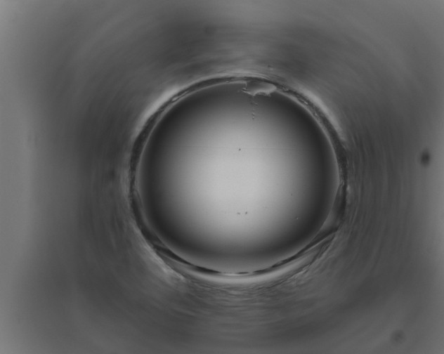 X0000094811460200711241435