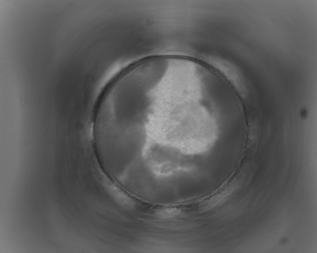 X0000094811462200711241435