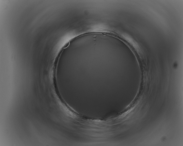 X0000094811463200711241435