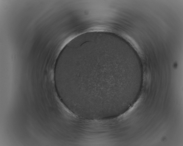 X0000094811465200711241435