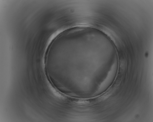 X0000094811466200711241435