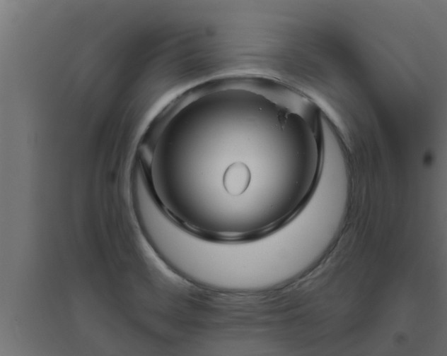 X0000094811468200711241435