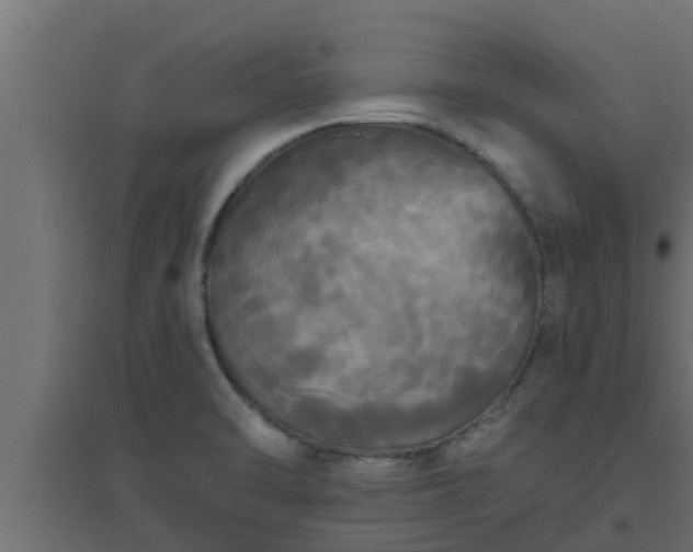 X0000094811470200711241435