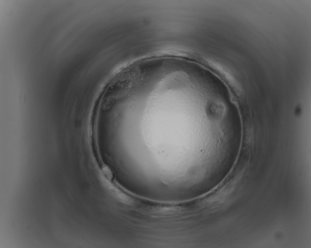 X0000094811471200711241435