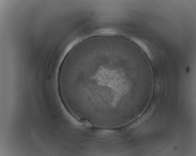 X0000094811475200711241435