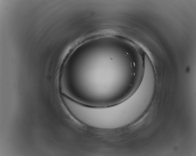 X0000094811477200711241435