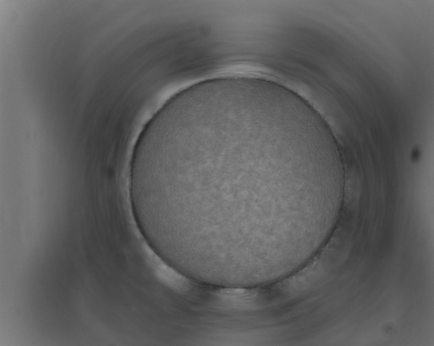 X0000094811478200711241435