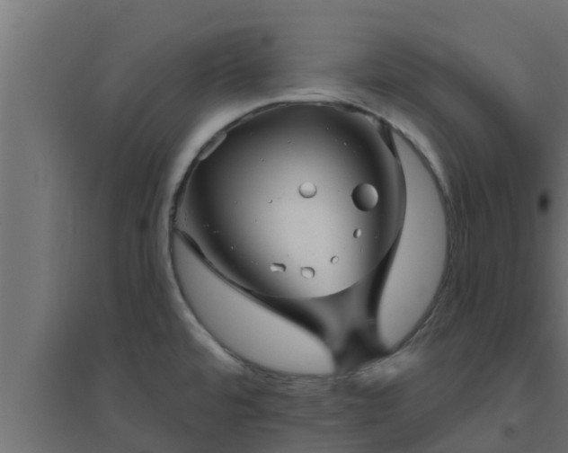 X0000094811480200711241435