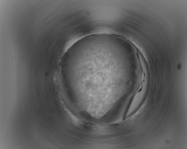 X0000094811481200711241435