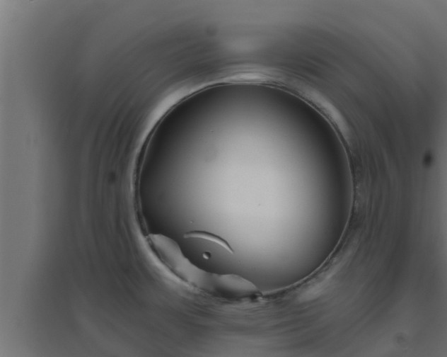 X0000094811483200711241435