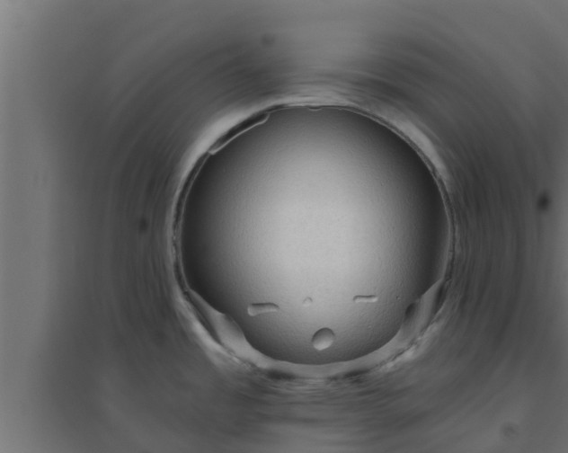 X0000094811485200711241435