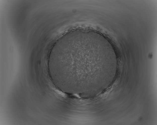 X0000094811489200711241434