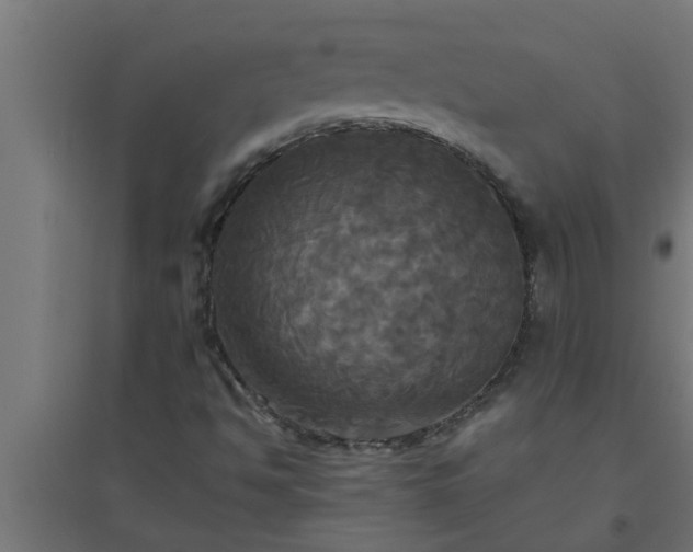 X0000094811494200711241434