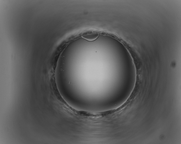 X0000094811495200711241434